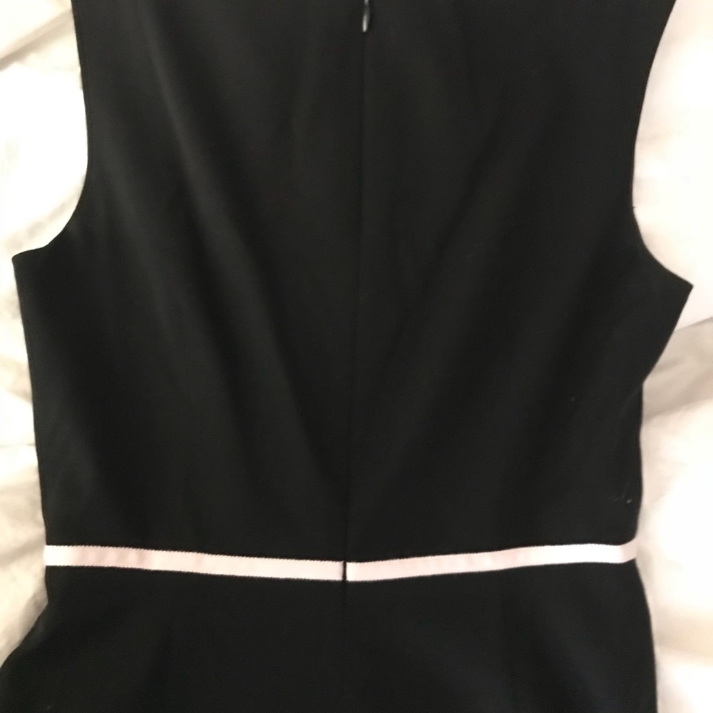 Simple J.Crew Dress - Picture 3 of 5